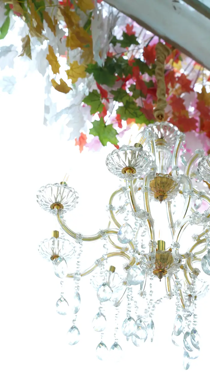 Crystal chandelier and blossoms by Perfecplan