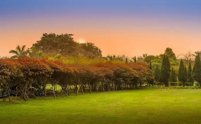 Sunset over a park, Greater Noida
