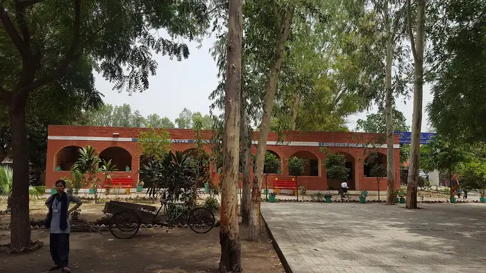 A school building among trees, Karnal