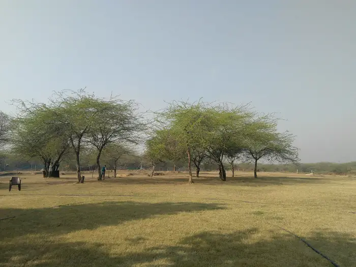 Open grounds, Vasant Kunj
